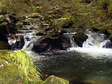 Golitha Falls